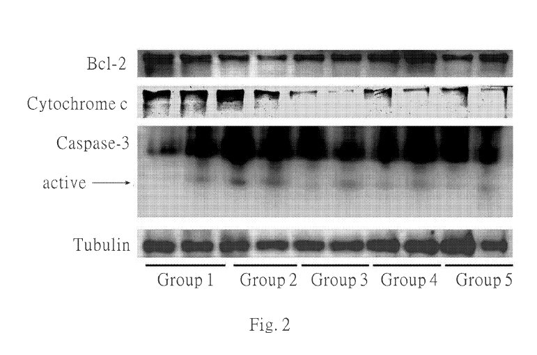 Fig.2